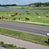 1908F 160 Katinger Watt Schutzgrebiet